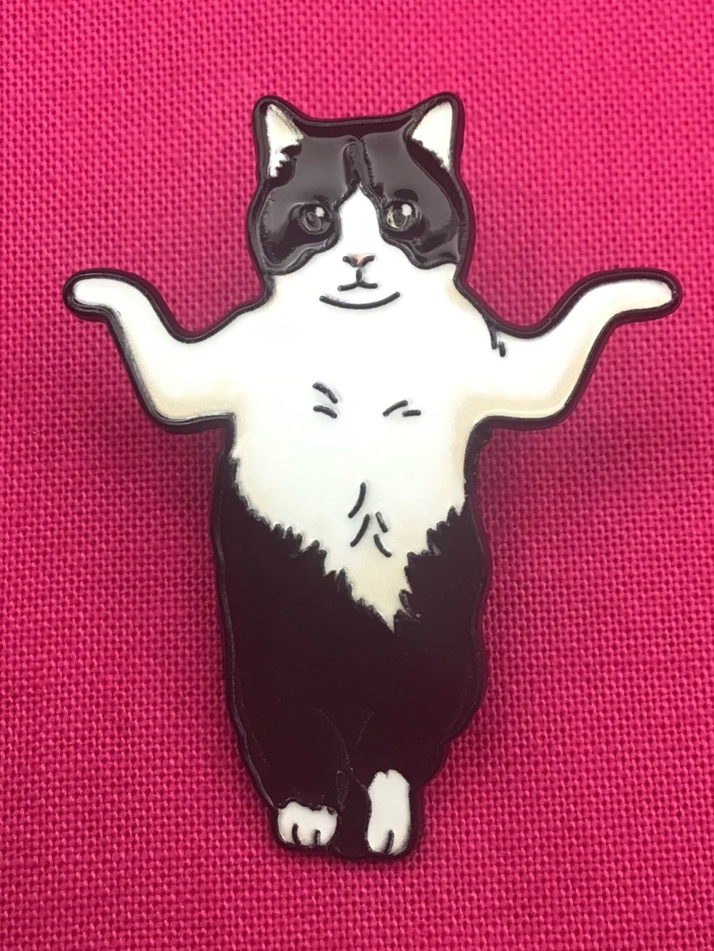Dancing Cat Enamel Pin